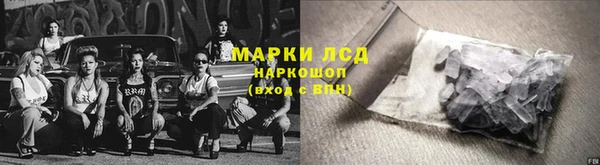 СК Инта