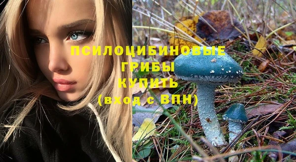 СК Инта