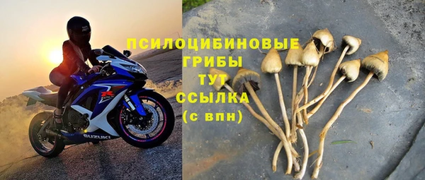 марки nbome Инсар