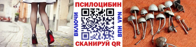 Галлюциногенные грибы Magic Shrooms  Купить закладки  Нижний Тагил 